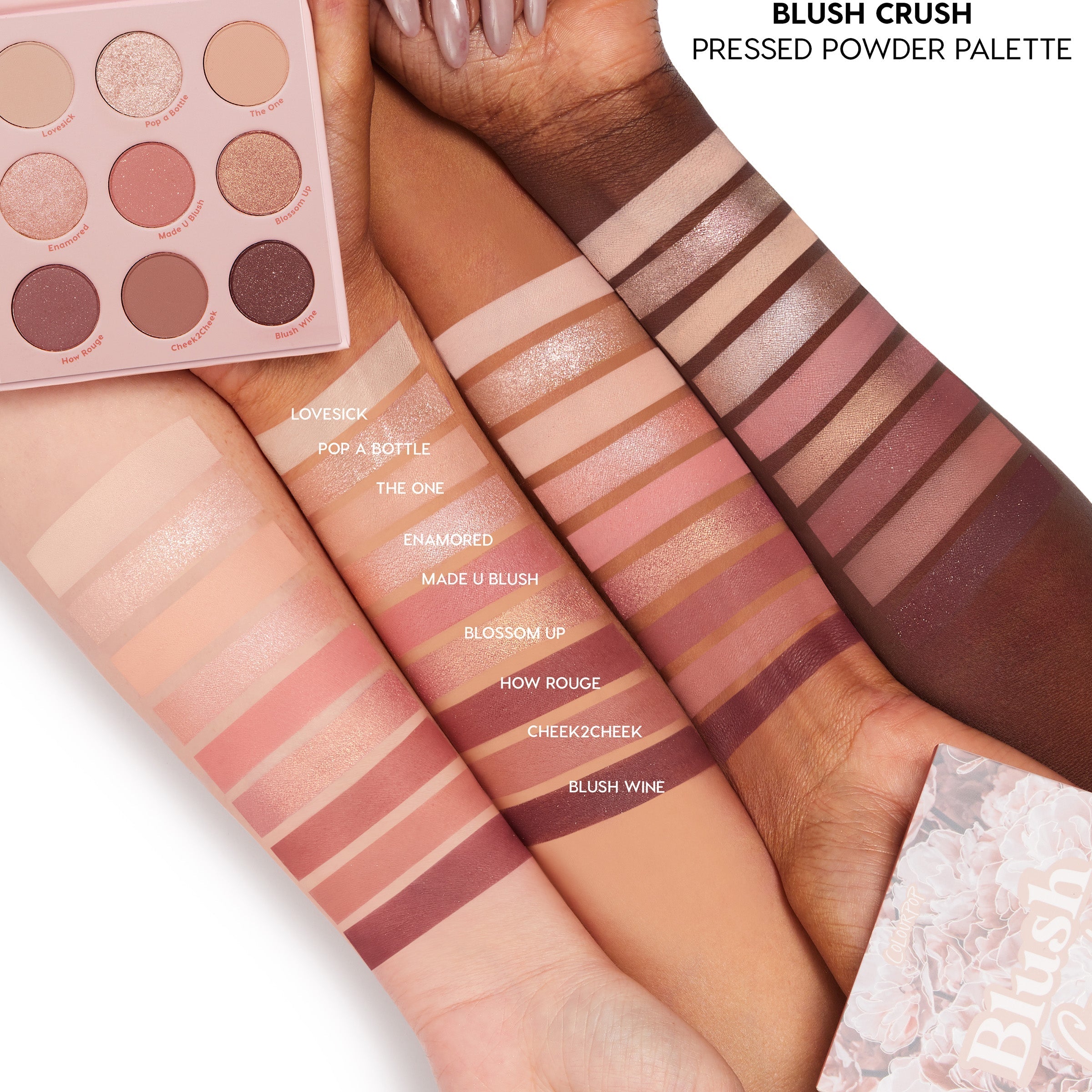 9-Pan Palette Duos - Image 3