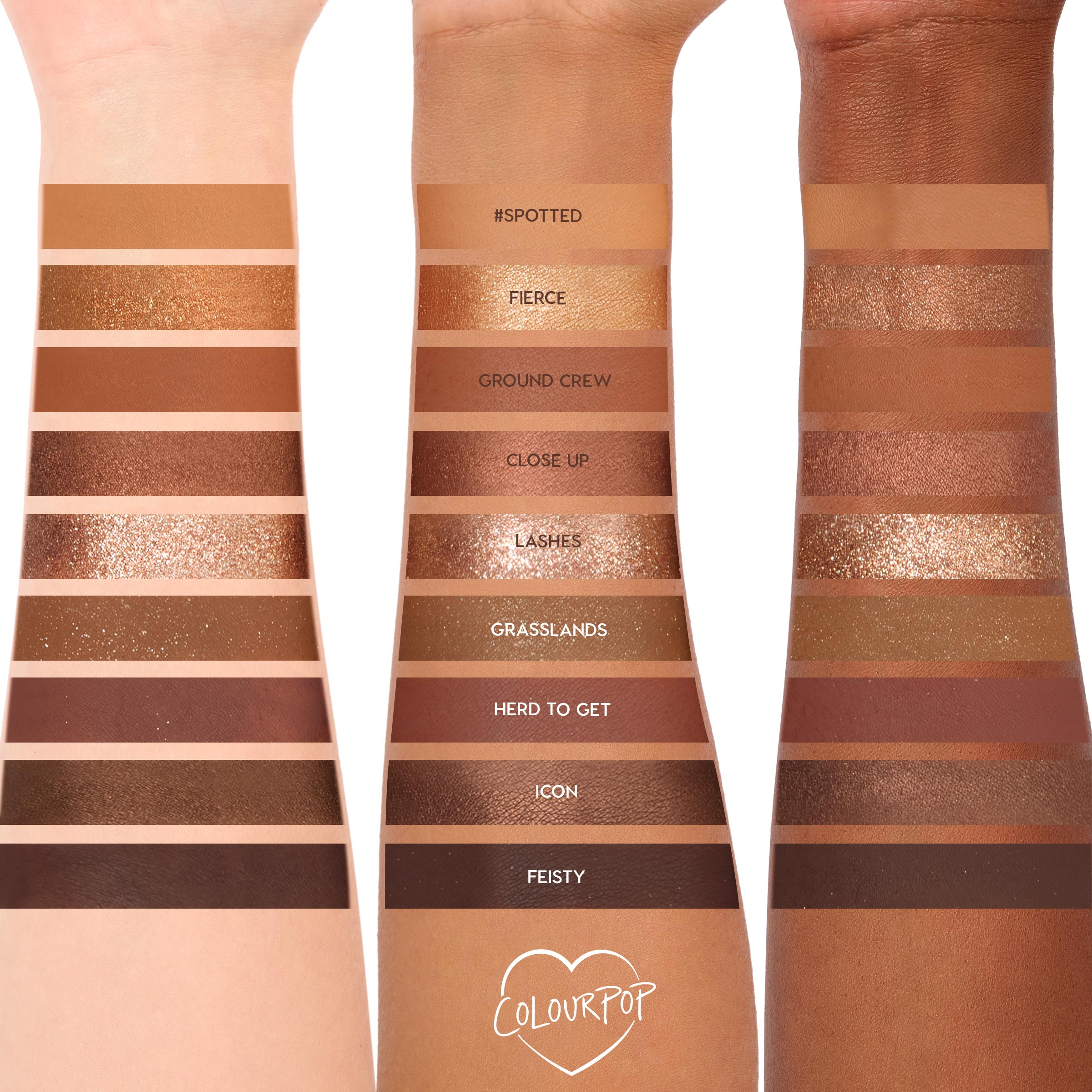 9-Pan Palette Duos - Image 8