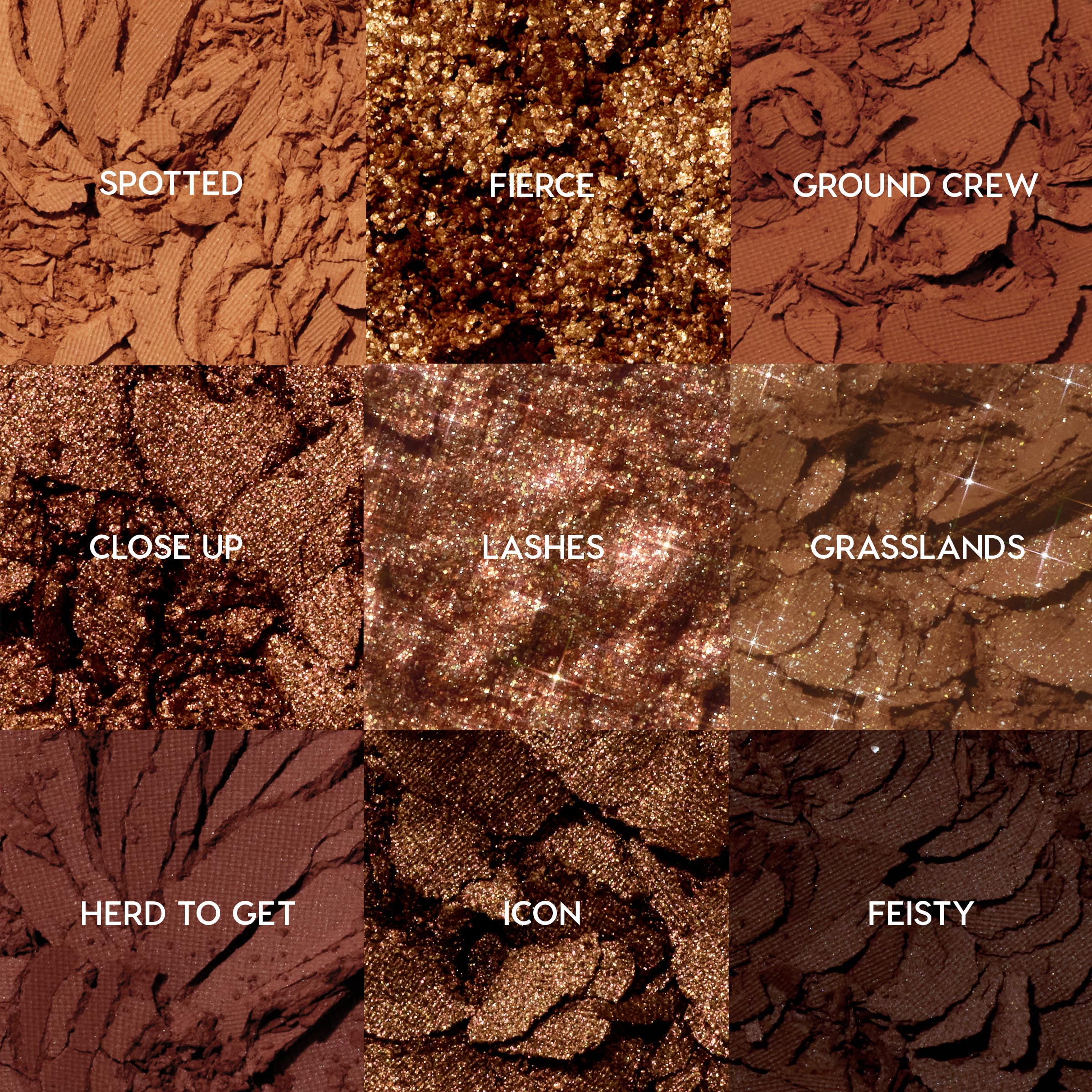 9-Pan Palette - Image 2