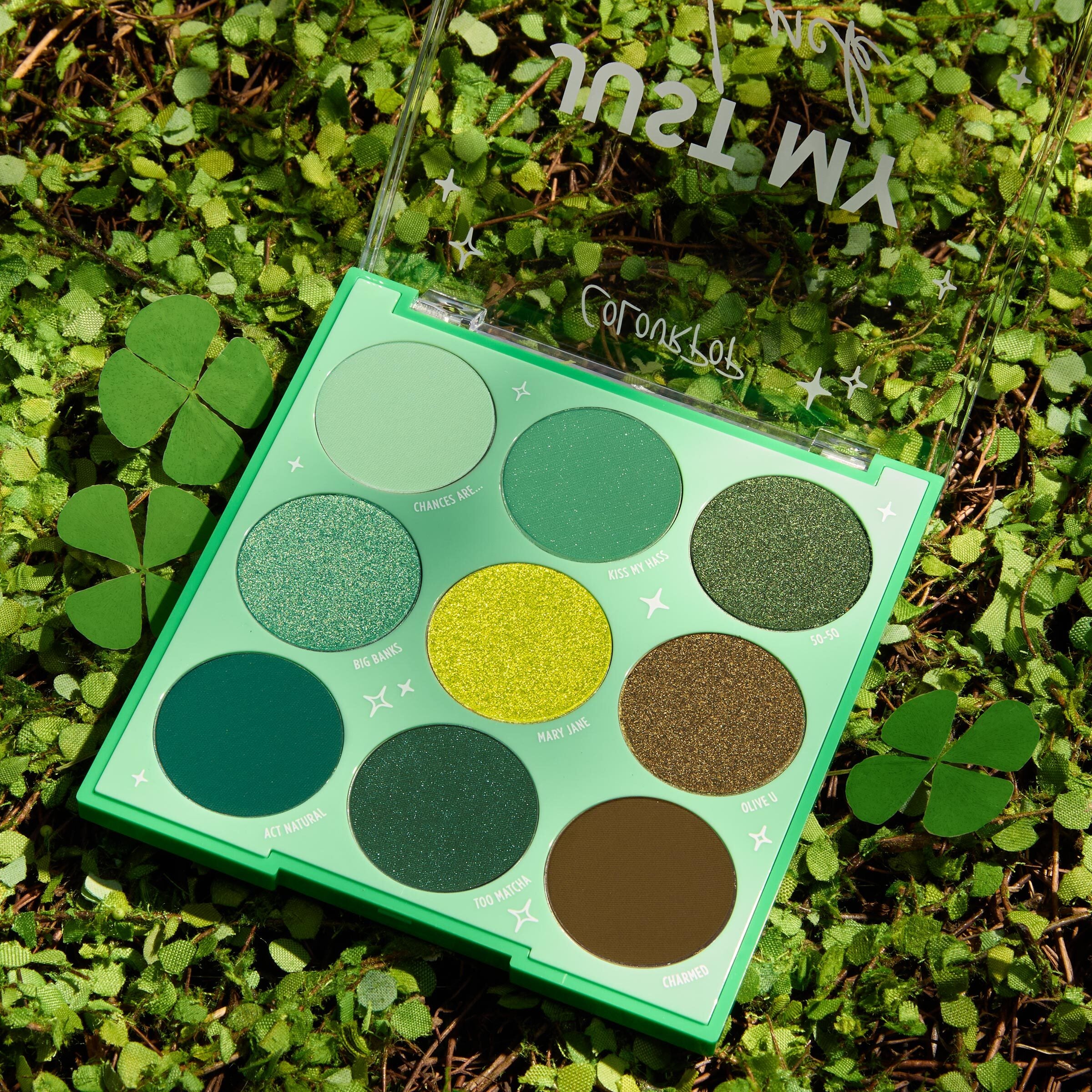 9-Pan Palette - Image 8