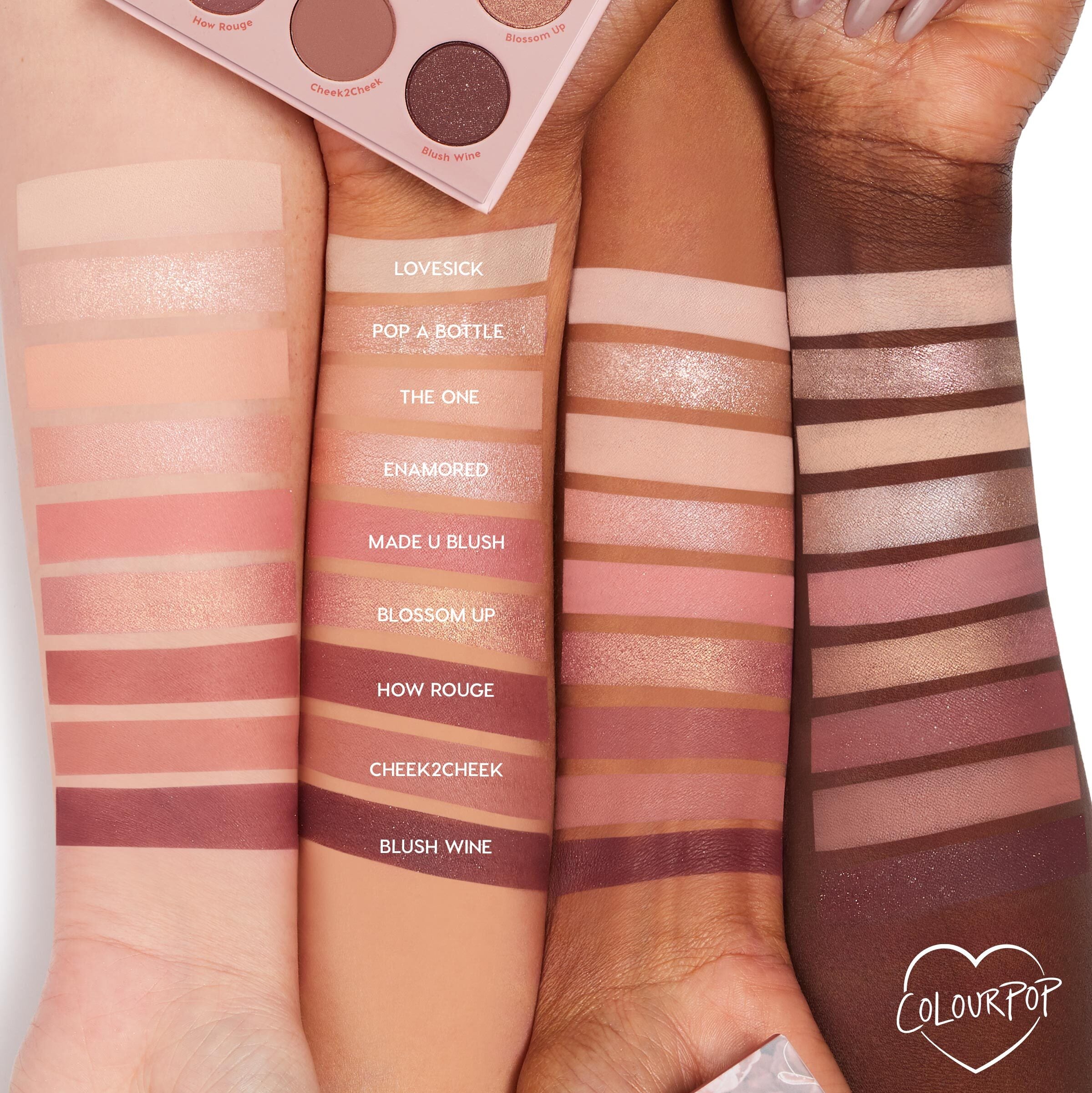 9-Pan Palette - Image 5