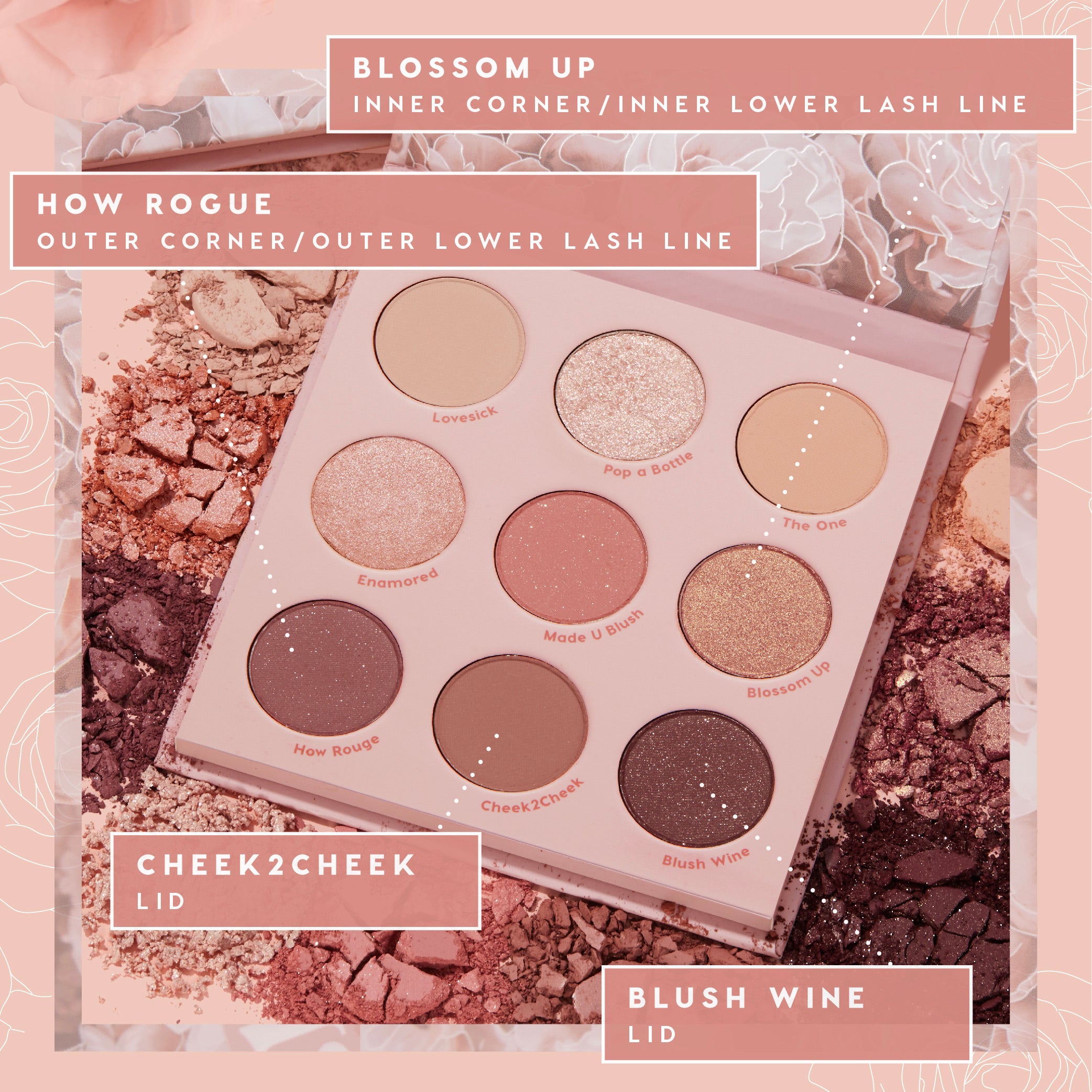 9-Pan Palette - Image 6