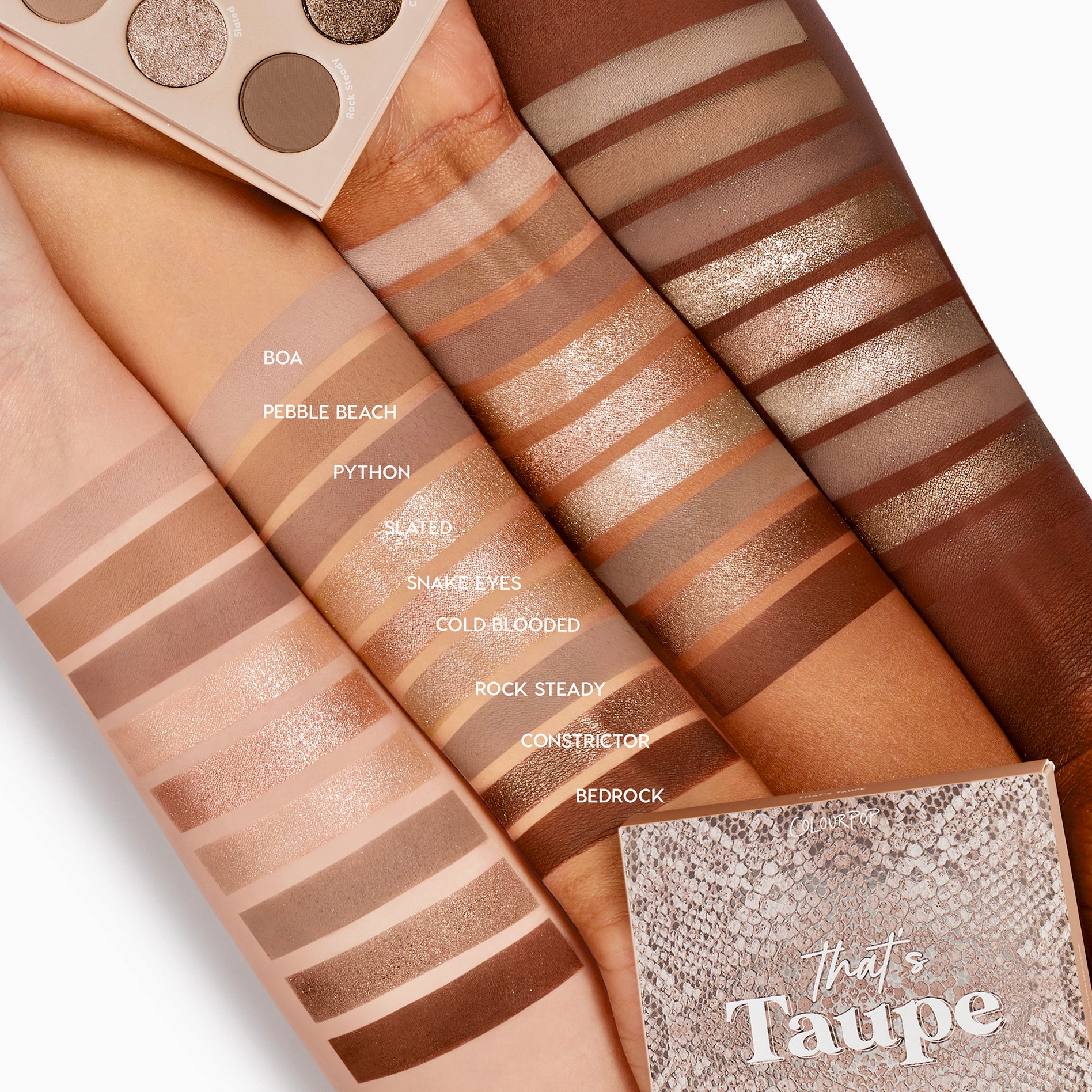 9-Pan Palette - Image 3