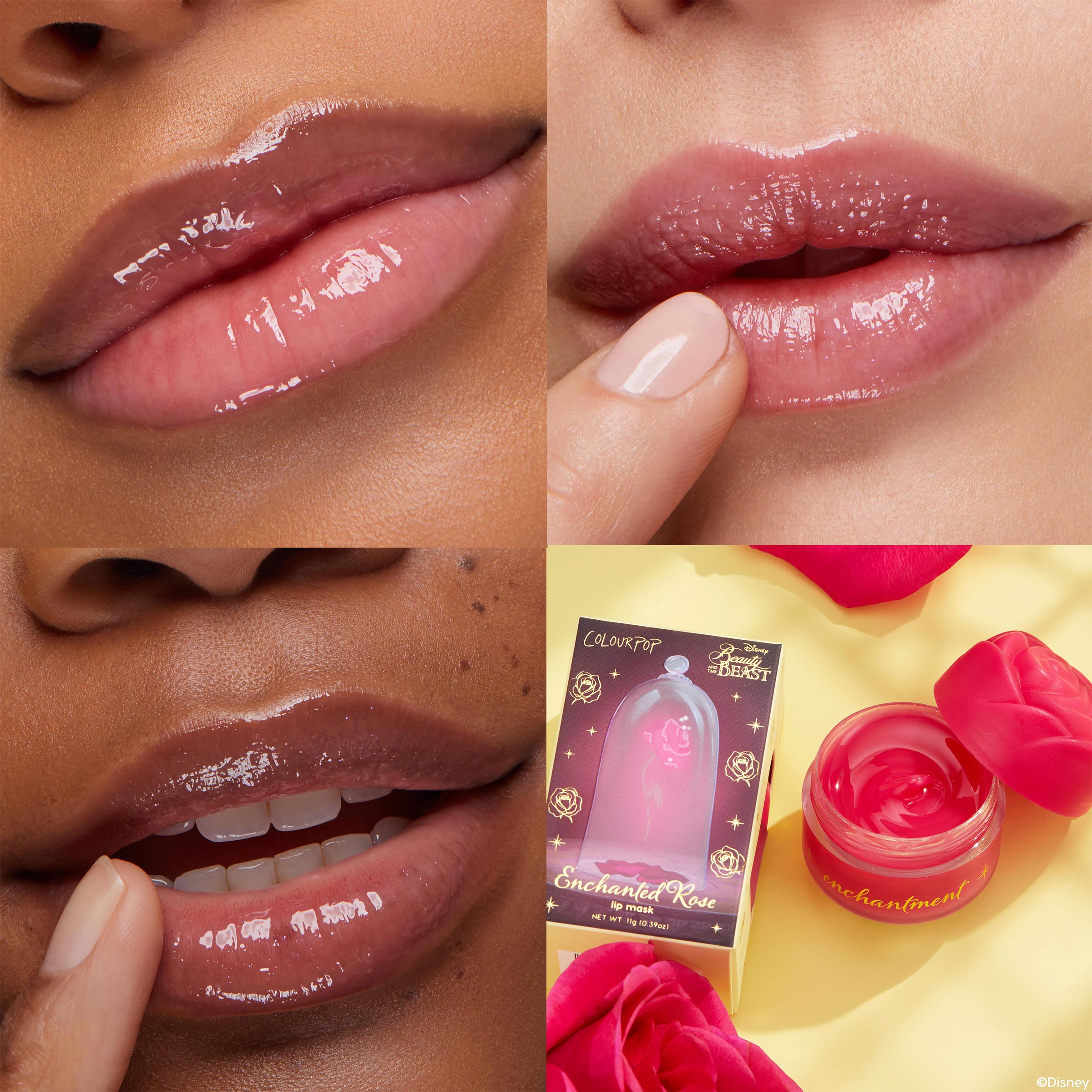 Enchanted Rose - Image 3